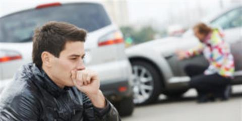 What to Do If Your Pet is Struck by a Car Photo